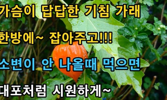 스마트폰세상 이미지