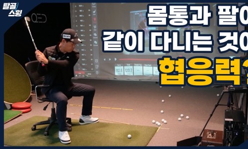 팔프로 이미지
