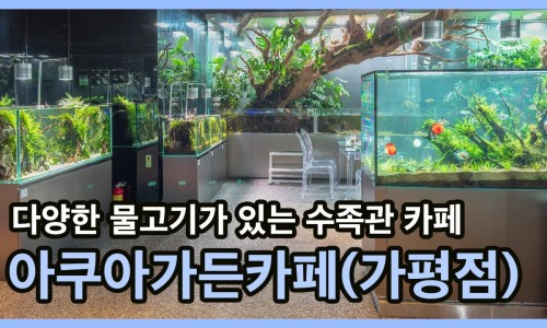 아쿠아가든카페 가평점 이미지