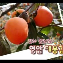 감이오네 이미지