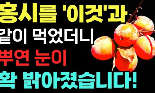신비한먹거리 이미지