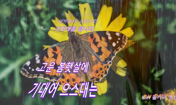 봄 B&H 이미지