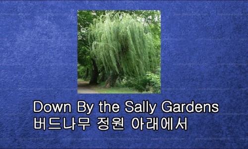 버드나무정원 이미지