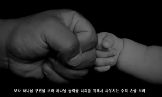 보라피아노 이미지