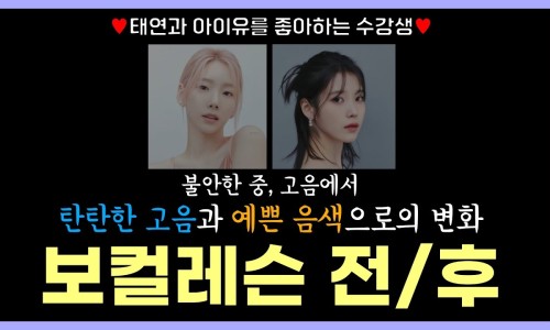 트렌디보이스 이미지