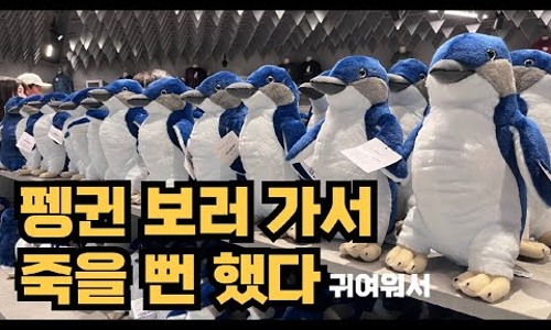 (주)이투어세상 이미지