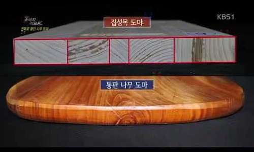 지식나무 이미지
