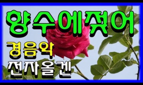 미스힐링센터 이미지