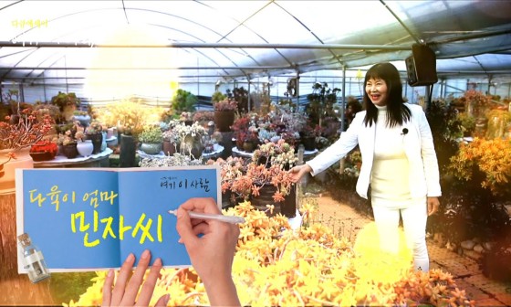 여기다육 이미지