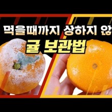 스마트폰세상 이미지