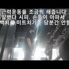 가은미트 이미지