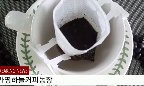 가평하늘커피농장 이미지