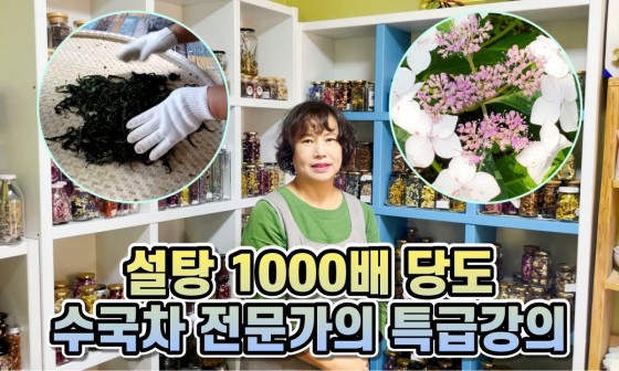 꽃수레꽃차 이미지