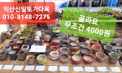 신일토기 이미지