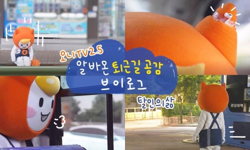 모니모니 이미지