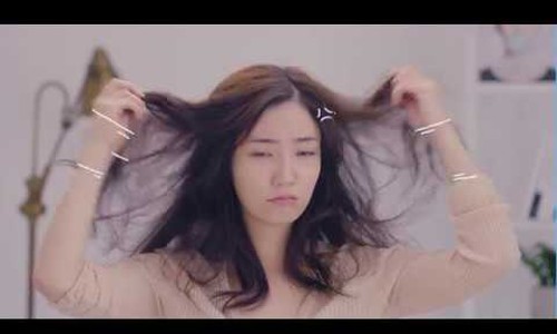 아르보헤어 이미지