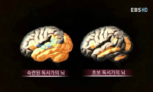 윤슬영어 이미지