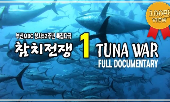 참치전쟁 이미지