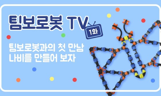 팀보 이미지