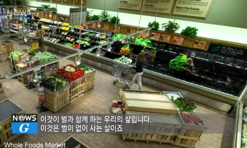 지오푸드 이미지