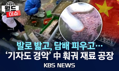 동성육류 이미지