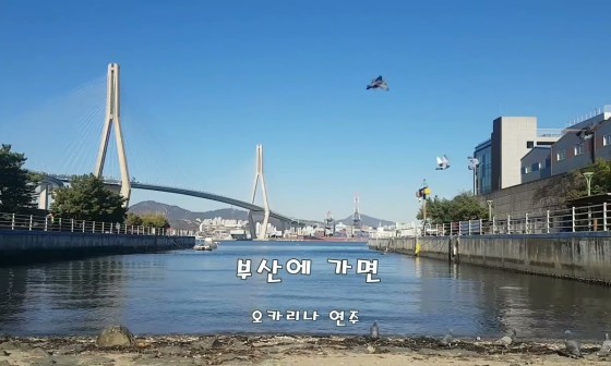 에코오카리나 이미지