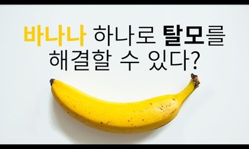돈나와라 이미지