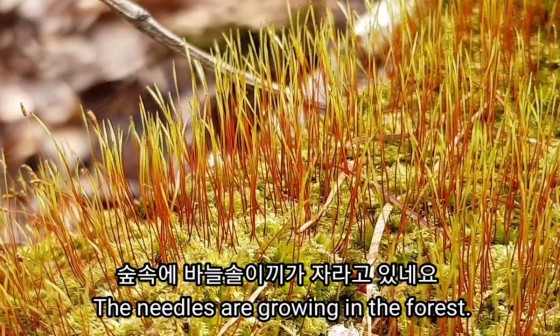 숲속이야기민박 이미지