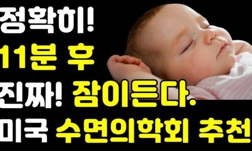네오네스트 이미지