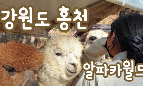 MH여행사 이미지