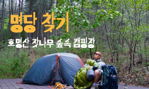 숲속캠핑장 이미지