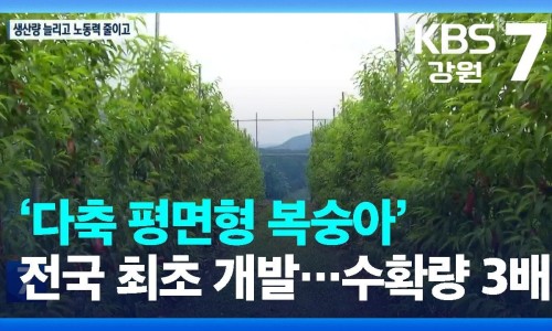전국개발 이미지