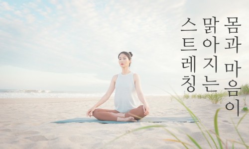 전신운동스트레칭 이미지