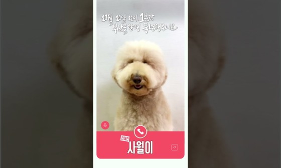 사월 : sawol 이미지