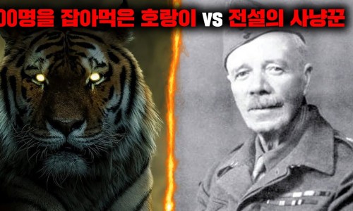 호랑이짐 이미지