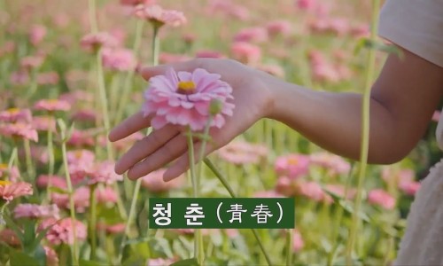 김*필 이미지