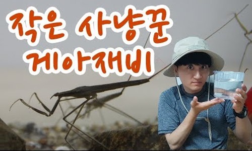나들아이 이미지