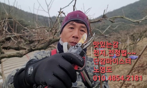 동광전지 이미지