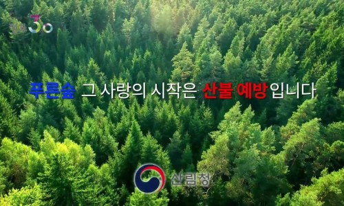 신안광고기업 이미지