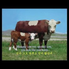 누렁송아지 이미지
