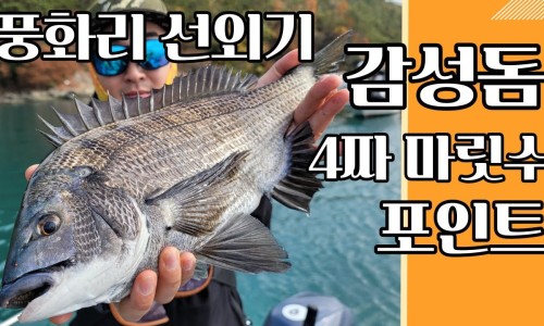 신광낚시 이미지