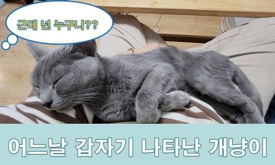 묘연공방 이미지