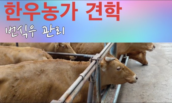 한우개량동우회 이미지