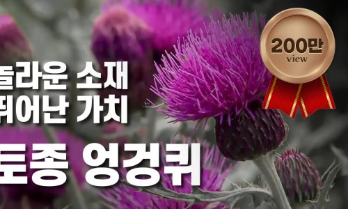 토종산야초 이미지