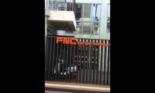 다원에프엔씨 이미지
