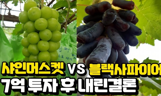 블랙핑거 이미지