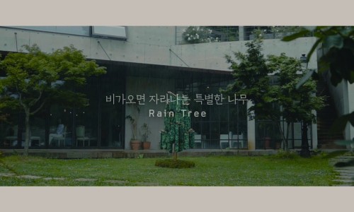 네파문정 이미지