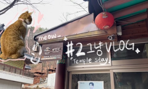 은다랑 이미지