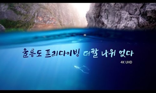 (주)프리투어 이미지