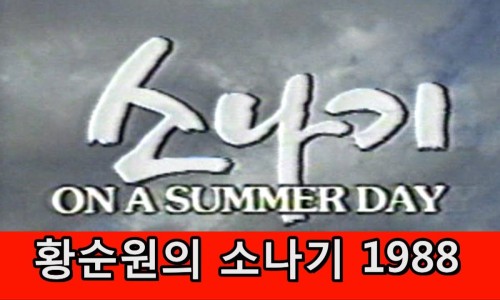음악이흐르는소나기 이미지